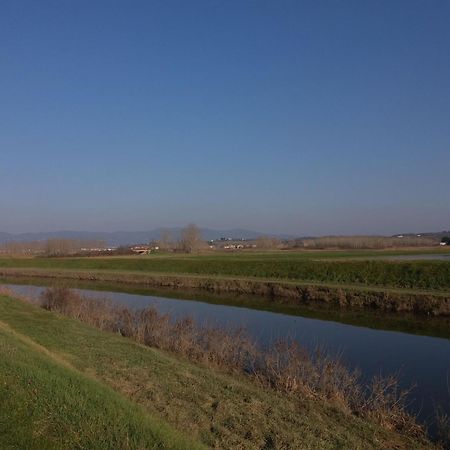 Podere Gian Battaglia Fucecchio Luaran gambar