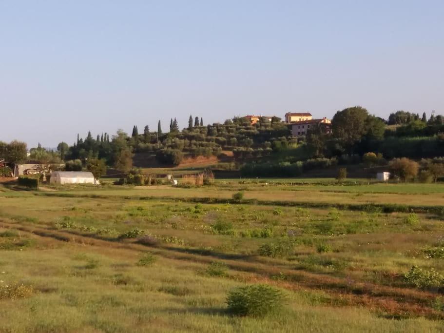 Podere Gian Battaglia Fucecchio Luaran gambar