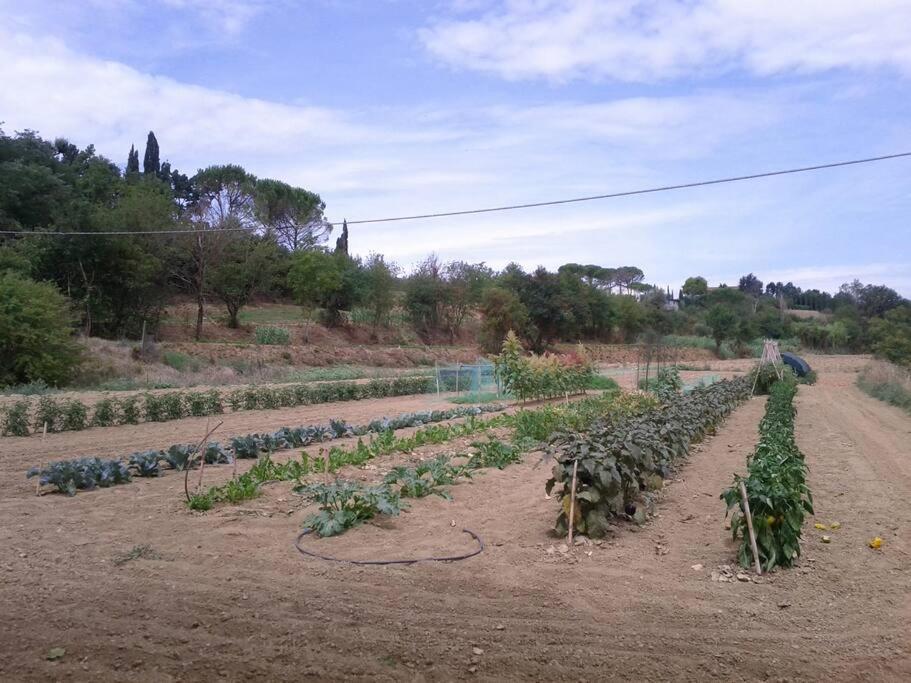 Podere Gian Battaglia Fucecchio Luaran gambar