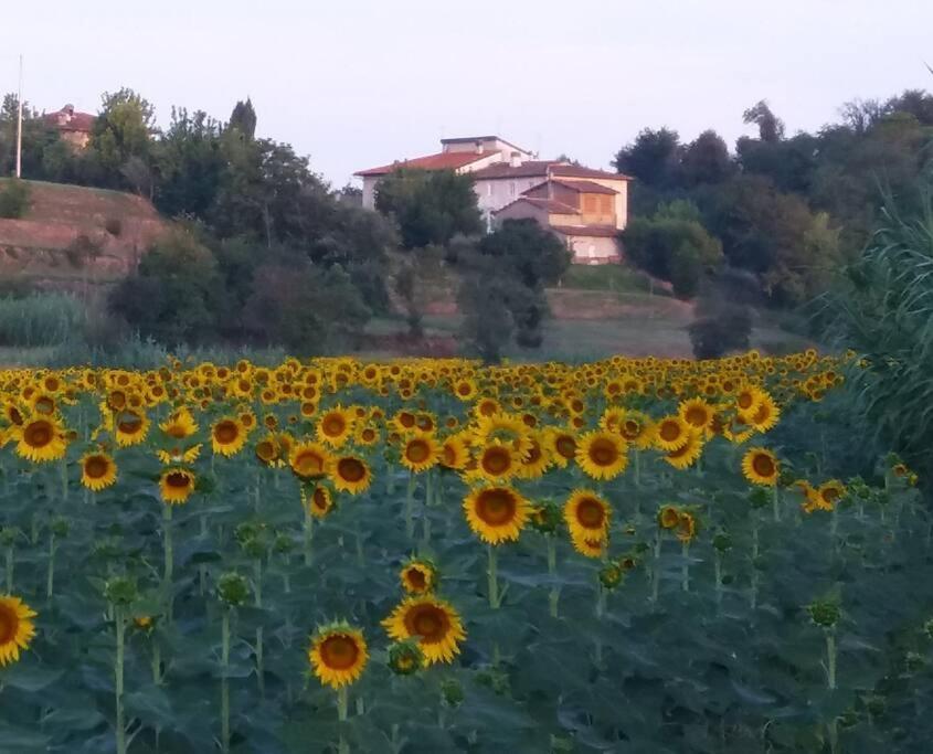 Podere Gian Battaglia Fucecchio Luaran gambar