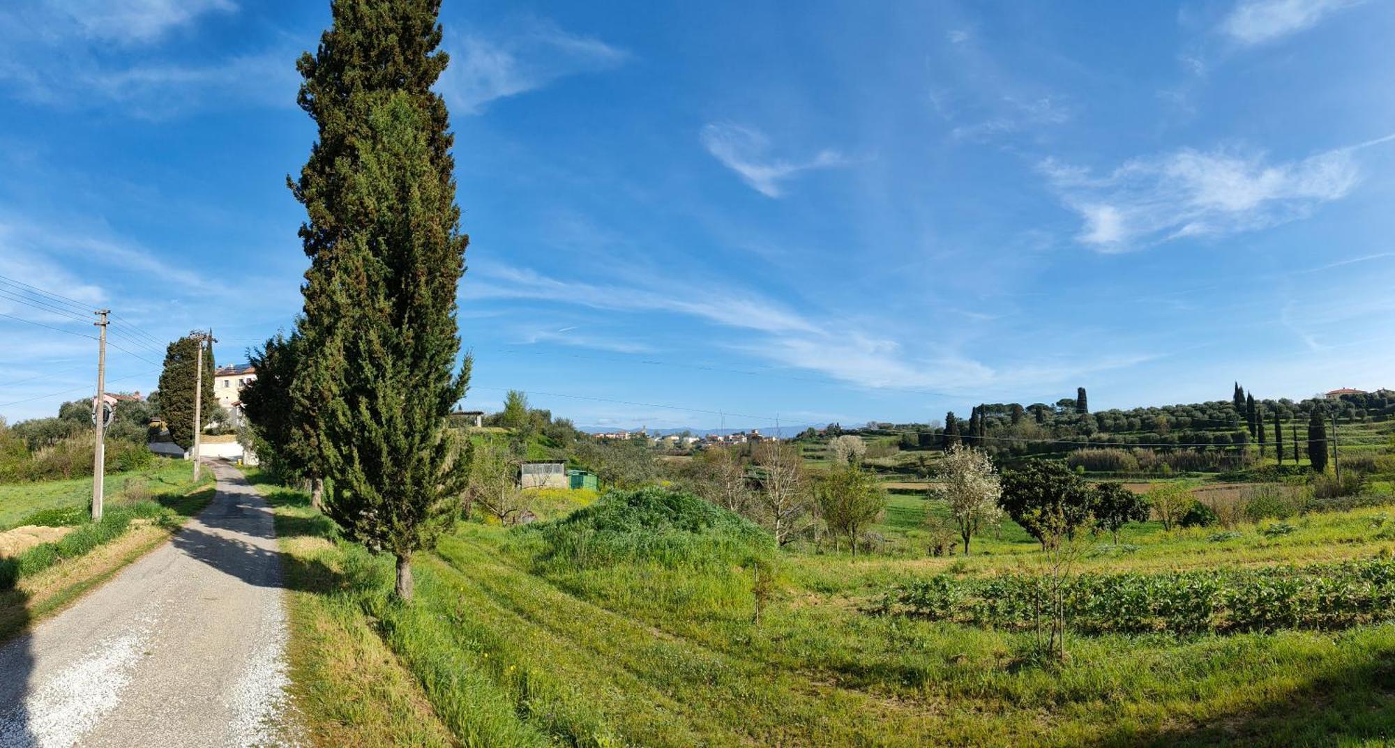 Podere Gian Battaglia Fucecchio Luaran gambar