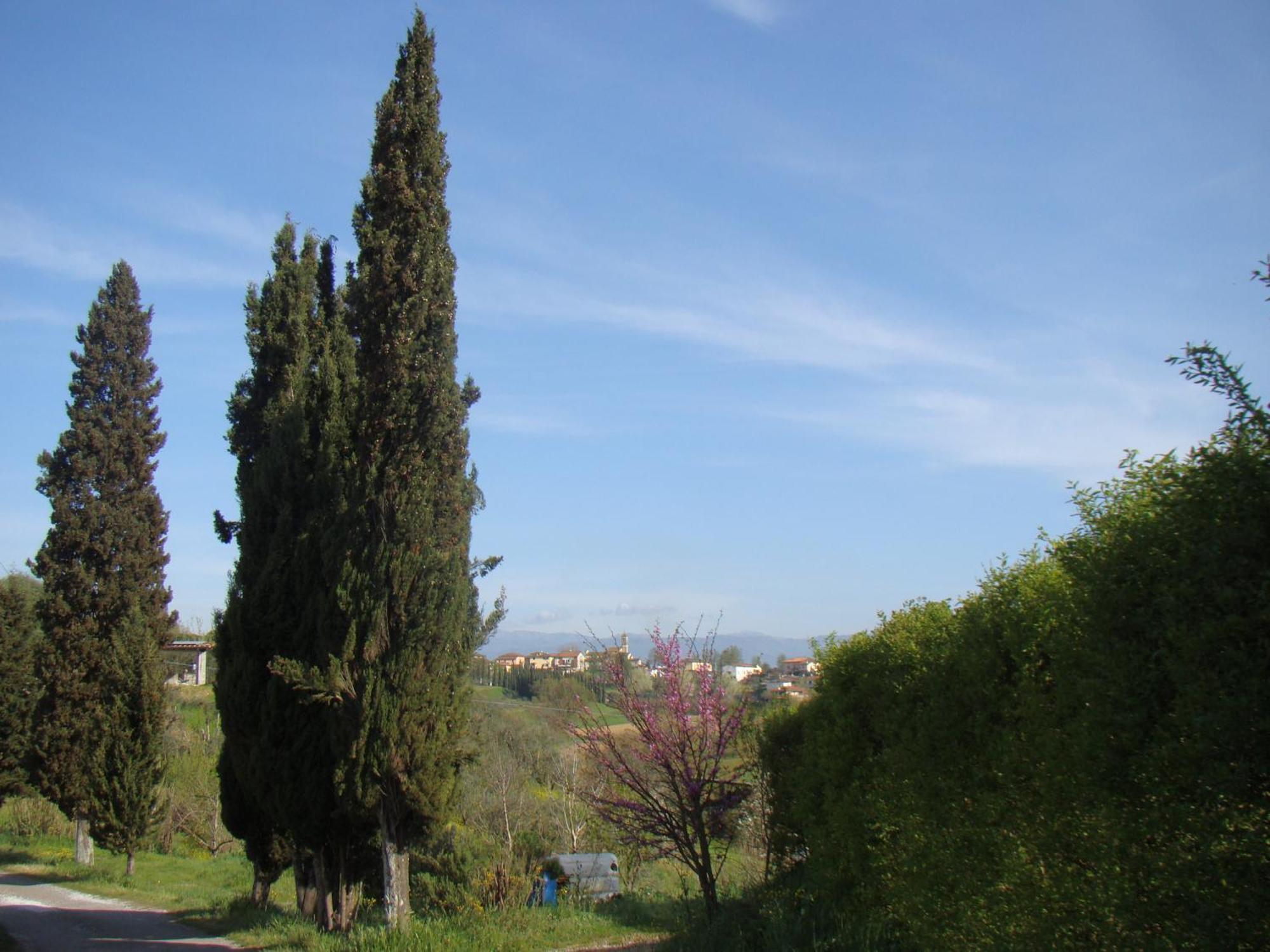 Podere Gian Battaglia Fucecchio Luaran gambar
