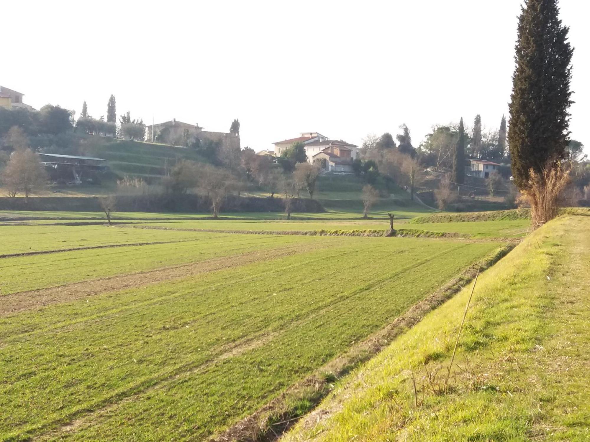 Podere Gian Battaglia Fucecchio Luaran gambar