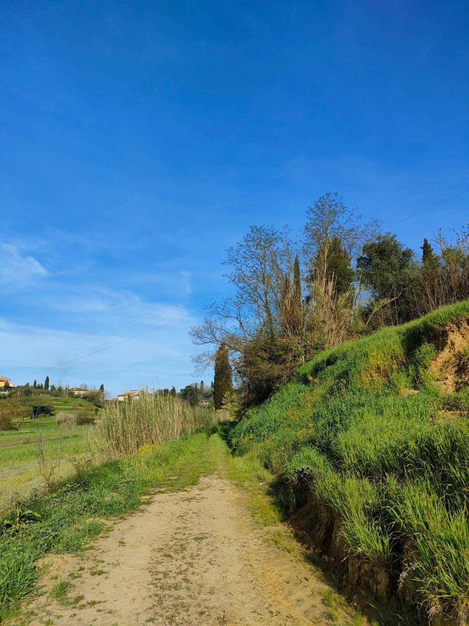 Podere Gian Battaglia Fucecchio Luaran gambar