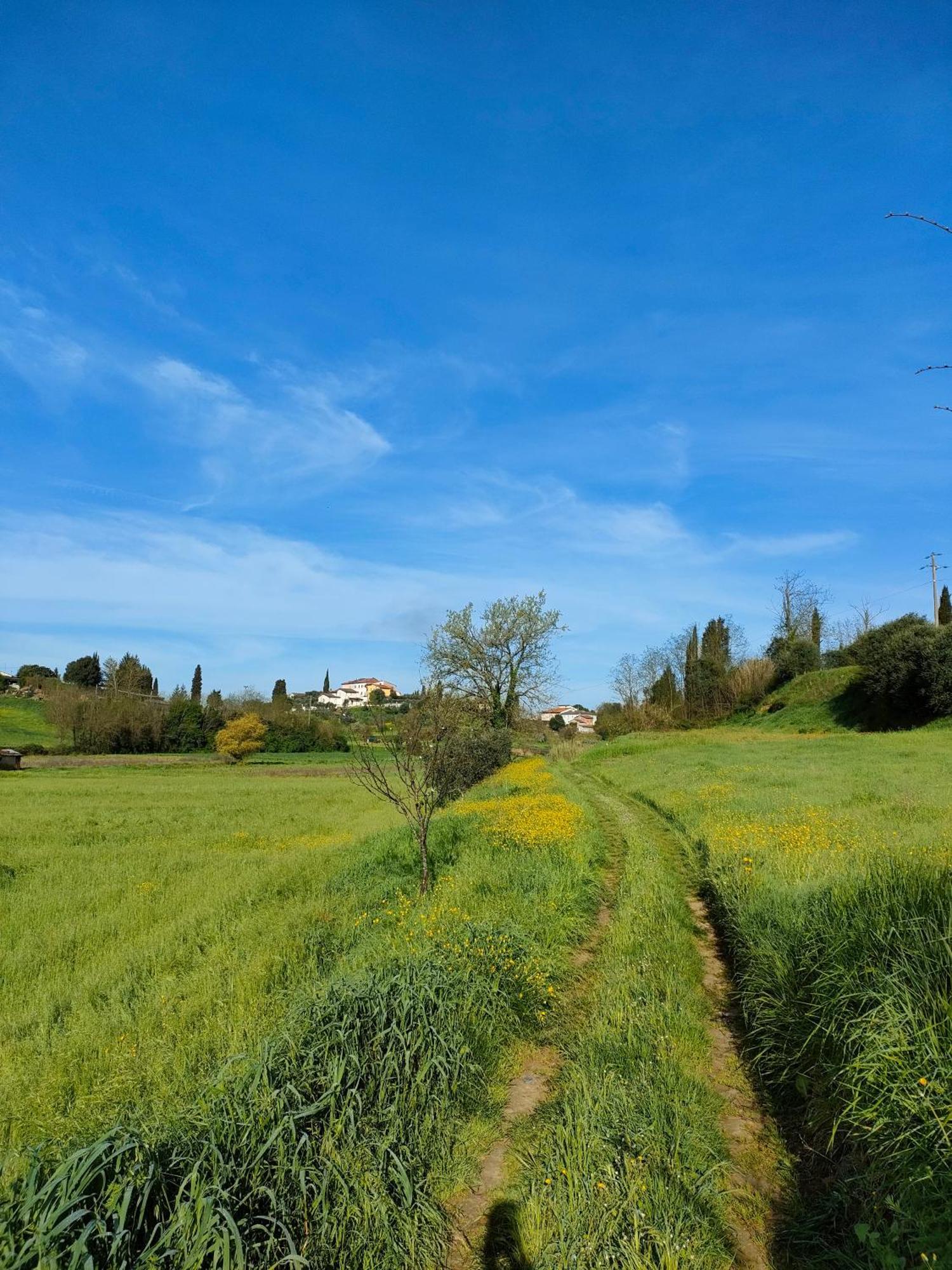 Podere Gian Battaglia Fucecchio Luaran gambar